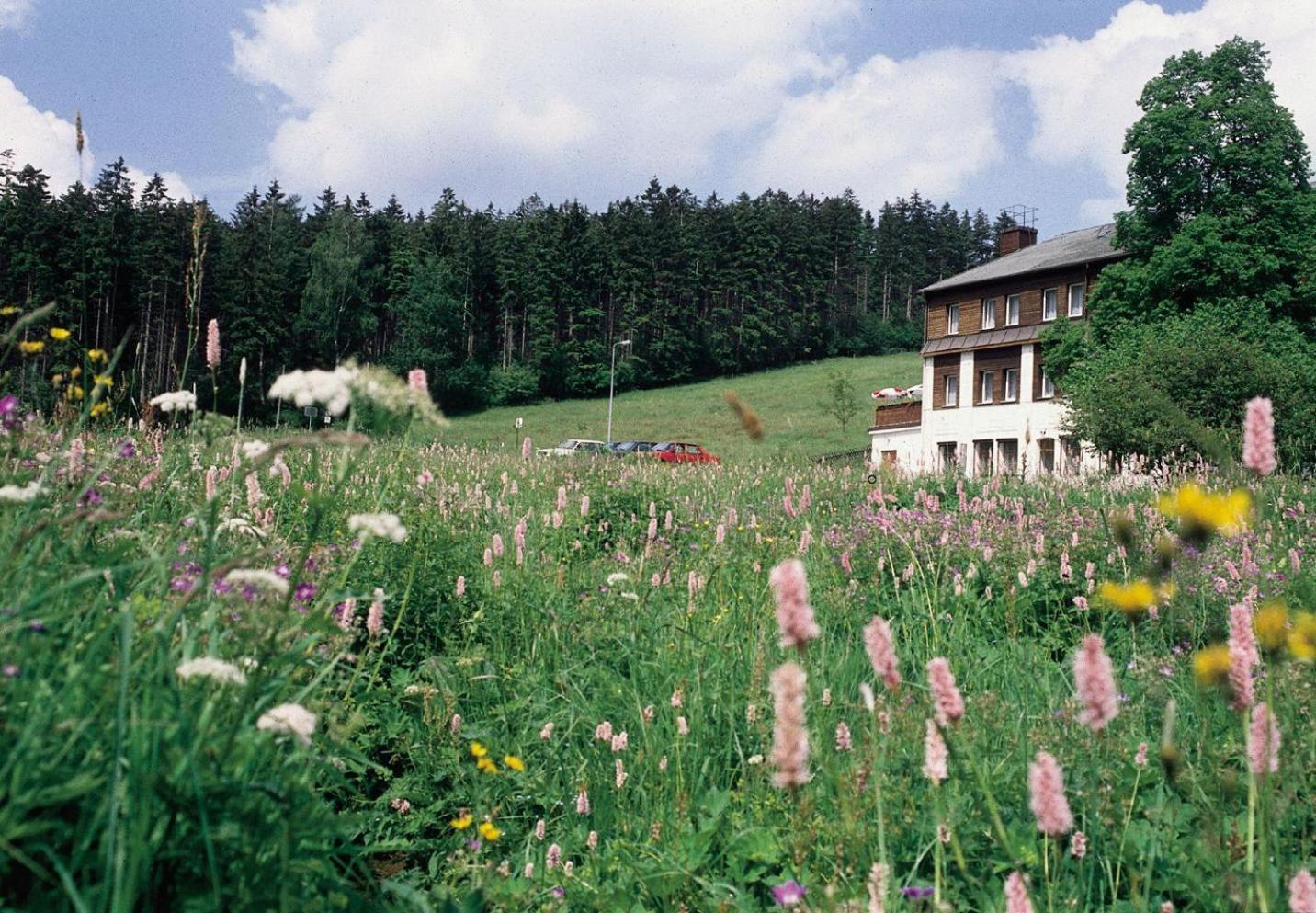 Bärenstein Landhaus Bergidyll מראה חיצוני תמונה