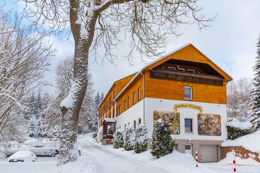 Bärenstein Landhaus Bergidyll מראה חיצוני תמונה