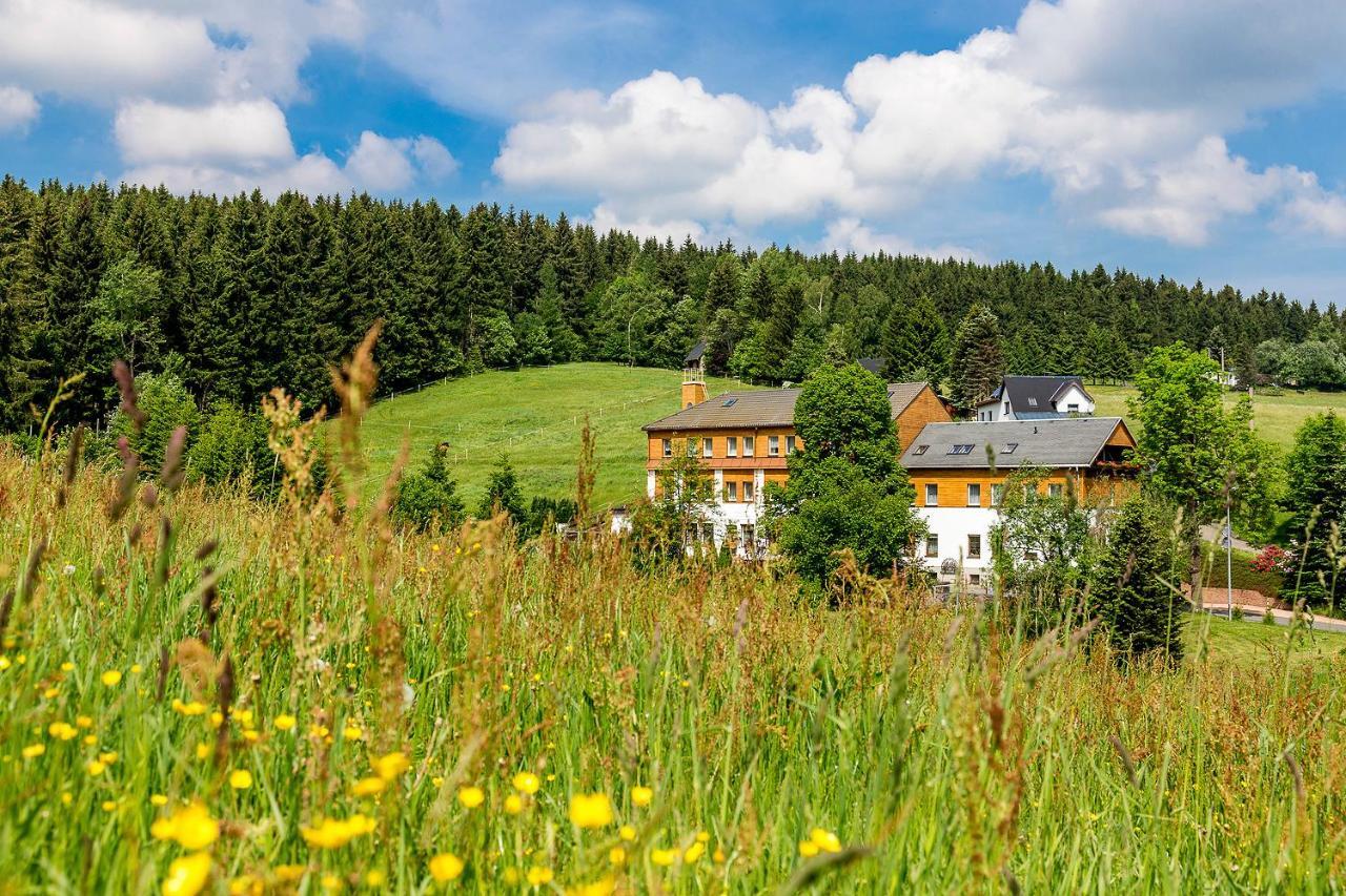 Bärenstein Landhaus Bergidyll מראה חיצוני תמונה